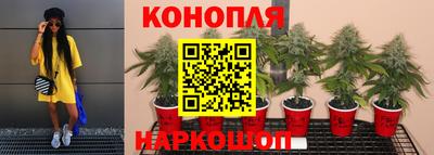 прущая мука Обь