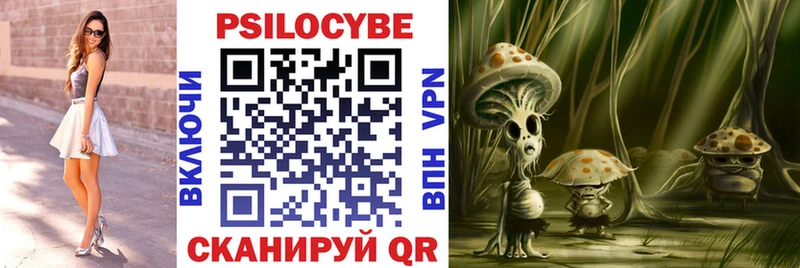 магазин продажи   Феодосия  Псилоцибиновые грибы Psilocybine cubensis 